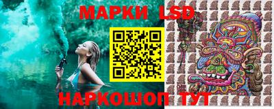 a pvp Можга