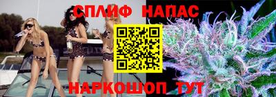 мдпв Моздок