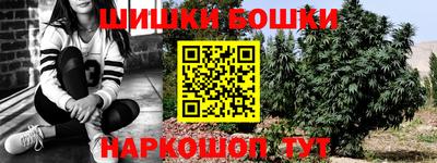 мдпв Моздок