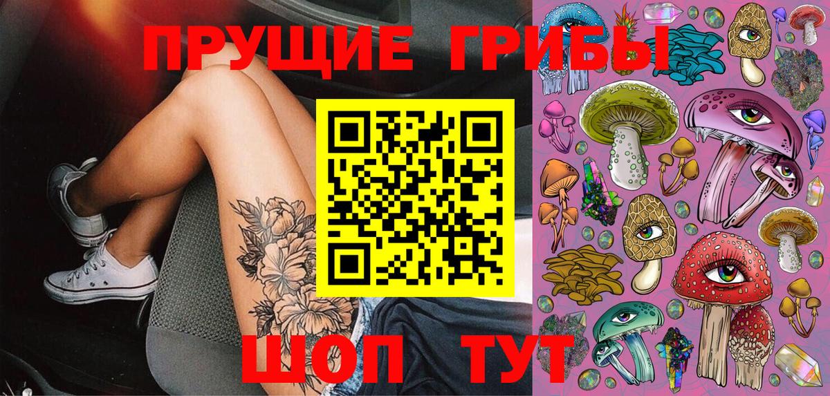 Галлюциногенные грибы Psilocybe Трёхгорный